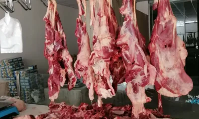 گزارش تصویری قربانی ویژه عید قربان ۱۴۰۴/۰۳/۱۶