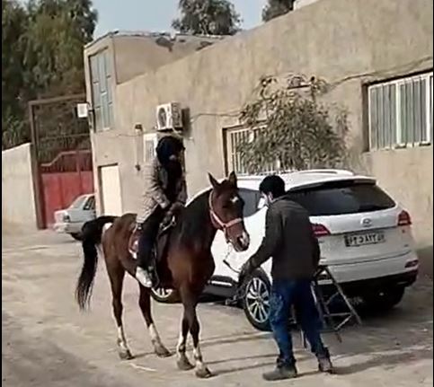 مزرعه_حیوانات