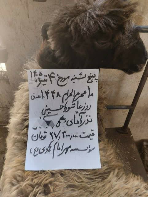 نذر نذر
