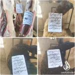 قربانی